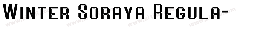 Winter Soraya Regula字体转换